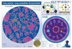 Stiefel Könyökalátét STIEFEL csillagok és bolygók (32727K) - vectraline