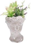 AdTrend Plante artificiale suculente in ghiveci II 14 x 14 x 27 cm (107023B)