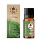 Dary Natury Rozmaring illóolaj 100% 10ml Dary Natury (c)