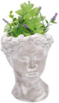 AdTrend Plante artificiale suculente in ghiveci IIII 14 x 14 x 27 cm (107023D)