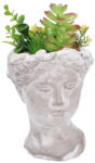 AdTrend Plante artificiale suculente in ghiveci III 14 x 14 x 27 cm (107023C)