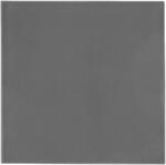 Thermal Grizzly Minus Pad Extreme 2, 100 x 100 x 1.5 mm (TG-MP-E2-100-100-15)