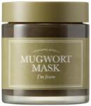 I'm From Mugwort Mask - Успокояваща маска за лице с екстракт от пелин 110г