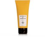 Acqua Di Parma Barbiere cremă de curățare revigorantă 100 ml M