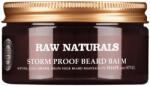 Raw Naturals Raw Naturals, Storm Proof, 100% vegan, Beard Balm, Softening, 100 ml