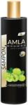 Ayurmed Ayurmed, Amla , Șampon, Cleansing, 250 ml