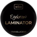 Wibo Wibo, Styling Brow, Lamination Effect, Eyebrow Wax, 4.2 g