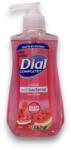 Dial Dial, Antibacterial, Sweet Watermelon, Liquid Soap, For Hands, 221 ml