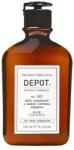 Depot Depot, 100 Hair Cleansing No. 102, Botanical Complex, Șampon, Anti-Dandruff & Sebum Control, 250 ml