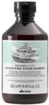 Davines Davines, Natural Tech, Șampon, For Detoxing, 250 ml
