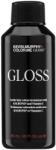 KEVIN.MURPHY Kevin Murphy, Color. Me Gloss, Demi-Permanent Vopsea de păr, 10.83/10VG , 100 ml