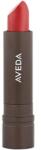Aveda Aveda, Feed My Lips, Natural, Matte, Ruj cremă, 17, Jujube, 3.4 g