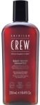 American Crew American Crew, Daily Silver, Paraben-Free, Șampon, For Colour Protection, 250 ml