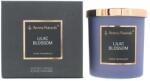 Aroma Naturals Aroma Naturals, Lilac Blossom, Lilac, Scented Candle, 215 g