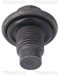 TRISCAN surub de golire, baia de ulei TRISCAN 9500 1009 (9500 1009)