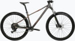 Kross Level X100 Bicicleta