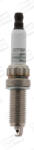 CHAMPION Bujie CHAMPION CET16P (CET16P) Bujie