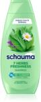 Schwarzkopf Schauma 7 Herbs Freshness gyógynövényes sampon normál és zsíros hajra 400 ml