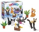Sentosphère SENTOSPHERE Patarev set Pisici (SNT8599)