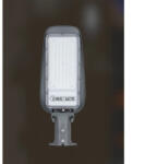 Horozk Electrik Led УЛИЧНА ЛАМПА 100w 6400k ip65 horoz florida (8683684225956)