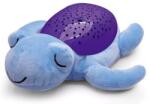 Raya Toys Lampă muzicală pentru copii Raya Toys - Broască țestoasă (503118409)