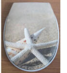 Inter Ceramic ТОАЛЕТНА СЕДАЛКА inter ceramic ЗВЕЗДА (6988354219764)