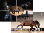  T-Creativ Asztali Könyöklő 54, 5x34 cm Horses (L01081THO)