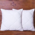 2G Pernute matlasate cu asternut 40 x 40 cm 2 buc
