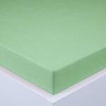 decoDoma Cearşaf cu elastic frotir EXCLUSIVE verde deschis 90 x 200 cm