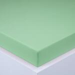 decoDoma Cearşaf cu elastic jersey EXCLUSIVE verde deschis 180 x 200 cm