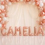 Flippy Baloane Folie Metalizate, Flippy, Set CAMELIA, Heliu sau Aer, Pai inclus, 40 cm, Rose Gold (177697)