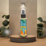 AIR ON Odorizant Auto Spray 50ml Mango AIR ON (AC88566)