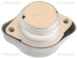 TRISCAN Suport, transmisie automata TRISCAN 8505 29201 (8505 29201)