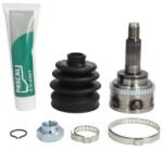 PASCAL Set articulatie, planetara PASCAL G18036PC (G18036PC) - fixbox