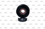NRF Cupla magnetica, compresor climatizare NRF 380097 (380097)