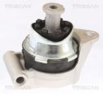 TRISCAN Suport motor TRISCAN 8505 24117 (8505 24117) - fixbox