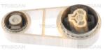 TRISCAN Suport motor TRISCAN 8505 16106 (8505 16106) - fixbox