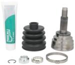 PASCAL Set articulatie, planetara PASCAL G10343PC (G10343PC) - fixbox