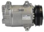 MAHLE Compresor, climatizare MAHLE ACP 172 000P (ACP 172 000P)