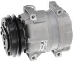 VALEO Compresor, climatizare VALEO 690248 (690248)