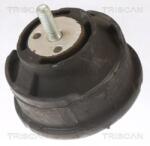 TRISCAN Suport motor TRISCAN 8505 11101 (8505 11101) - fixbox