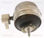 TRISCAN Suport motor TRISCAN 8505 29111 (8505 29111) - fixbox