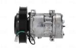NISSENS Compresor, climatizare NISSENS 891002 (891002)