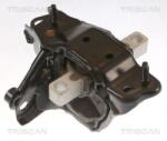 TRISCAN Suport motor TRISCAN 8505 29139 (8505 29139) - fixbox
