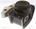 TRISCAN Suport motor TRISCAN 8505 28108 (8505 28108) - fixbox