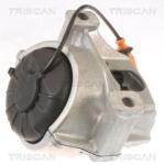 TRISCAN Suport motor TRISCAN 8505 29133 (8505 29133) - fixbox