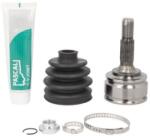 PASCAL Set articulatie, planetara PASCAL G1C038PC (G1C038PC) - fixbox