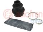 Autofren Seinsa Ansamblu burduf, articulatie planetara AUTOFREN SEINSA D8316 (D8316) - fixbox