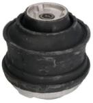 MTR Suport motor MTR 12162871 (12162871) - fixbox