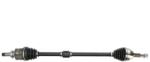 PASCAL Planetara PASCAL G2X099PC (G2X099PC) - fixbox